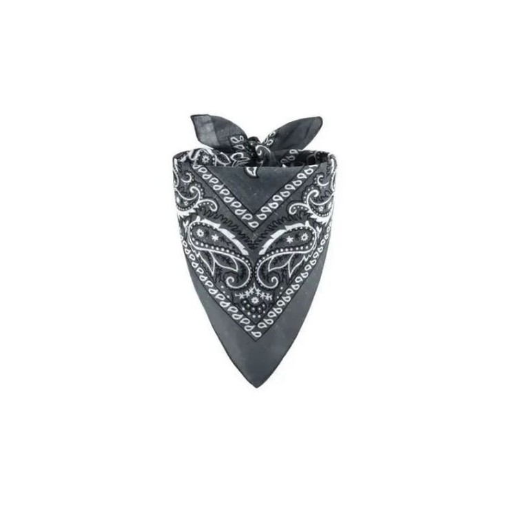 bandana (divers coloris)
