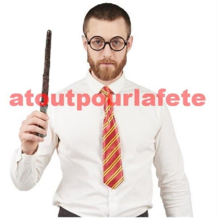 Set de magicien, Harry Potter, 3 pièce (écharpe- lunette- baguette)