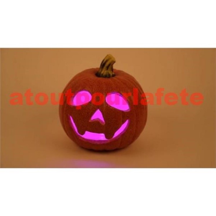 Décoration Citrouille lumineuse pour décoration Halloween LED