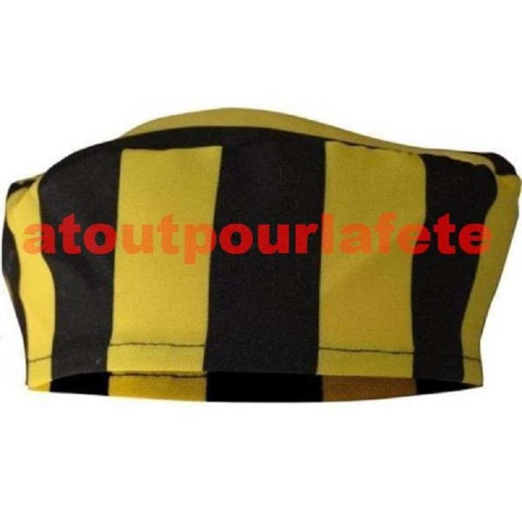 Calot de Dalton adulte (noir et jaune)