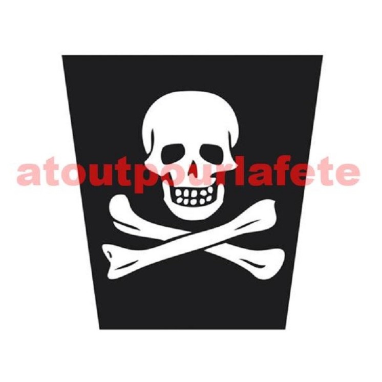 Lot de 6 gobelets "Pirate" 25cl (carton)