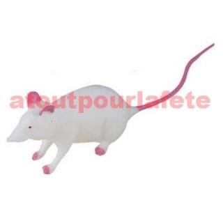 Souris blanche (20cm avec la queue)