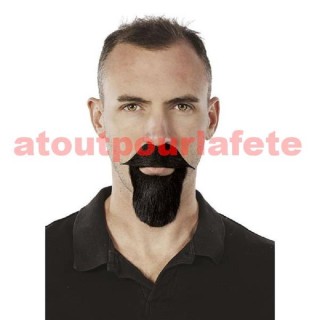 Barbiche et moustache de Professeur Tournesol, Napoléon III,