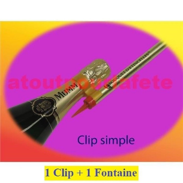 Clip porte fontaine + Fontaine pour bouteille de champagne,Whisky, (3 modele au choix)