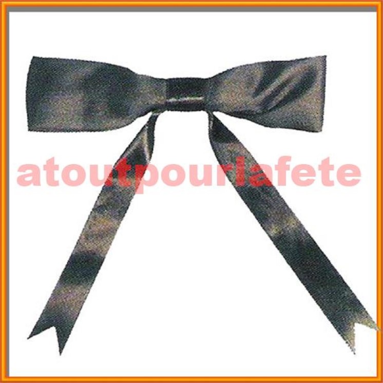 Lavallière  - cravate Alsacienne ou de Cowboy, Texanne
