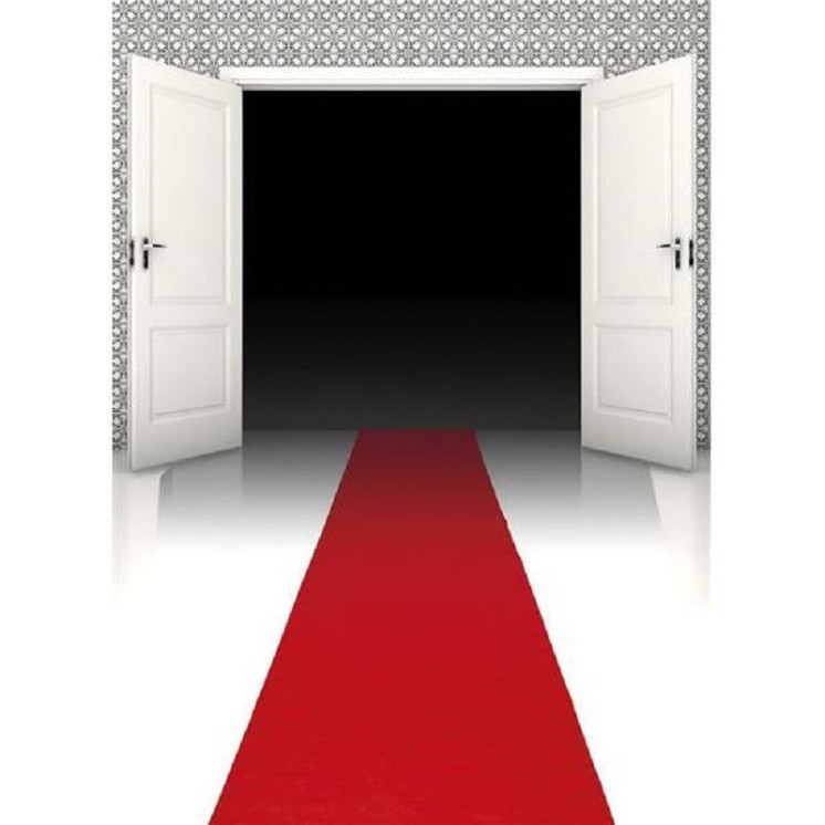 Tapis Festival de Cannes, Cinéma, hollywood, Star, Show biz, 450x60cms