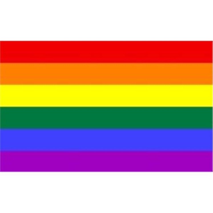 Drapeau Arc en Ciel - Gaypride, LGBT pour, Manifestations, Défilés, Commémorations  0.90x1.50