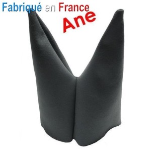 Bonnet d'Âne, Cancre, Ecolier, ducobu