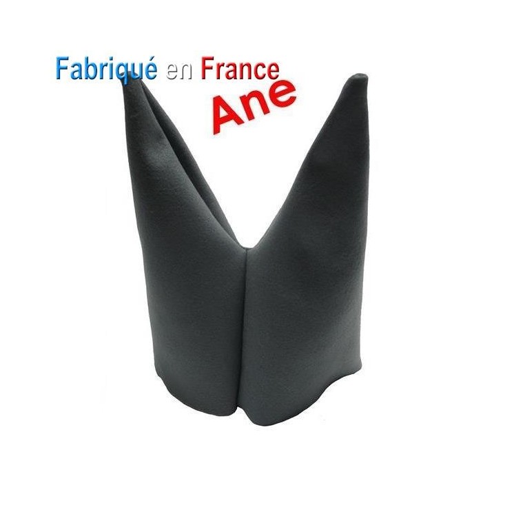 Bonnet d'Âne, Cancre, Ecolier, ducobu