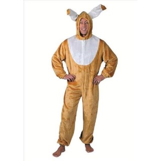 Déguisement de Lapin de Paques (H)