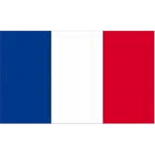 Drapeau France pour Supporters, Manifestations, Défilés 0.90x1.50m