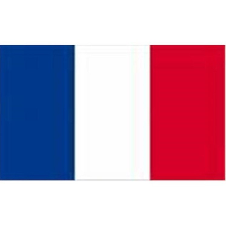 Drapeau France pour Supporters, Manifestations, Défilés 0.90x1.50m