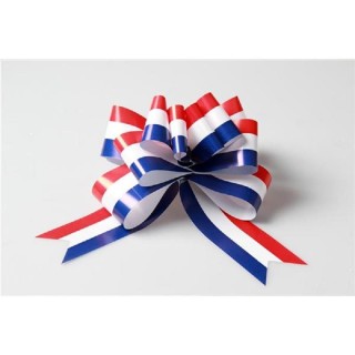 Sachet de 25 Noeud à tirette 50mm / 115cm France