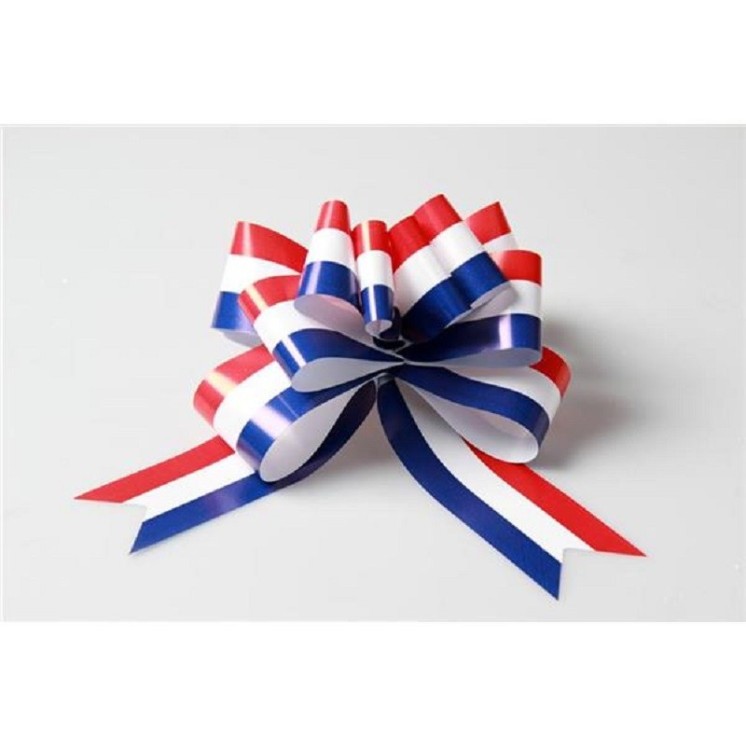 Sachet de 25 Noeud à tirette 50mm / 115cm France