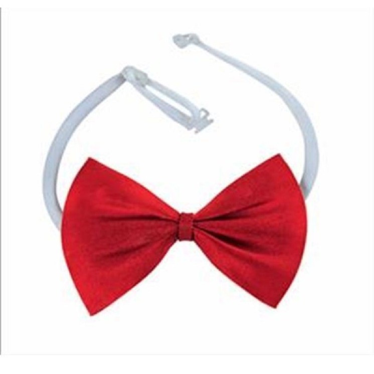 Noeud papillon en satin rouge, Dandy, Donald, Saw