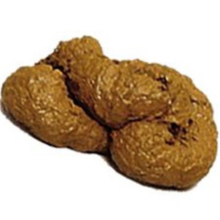 Fausse crotte de chien (resine)