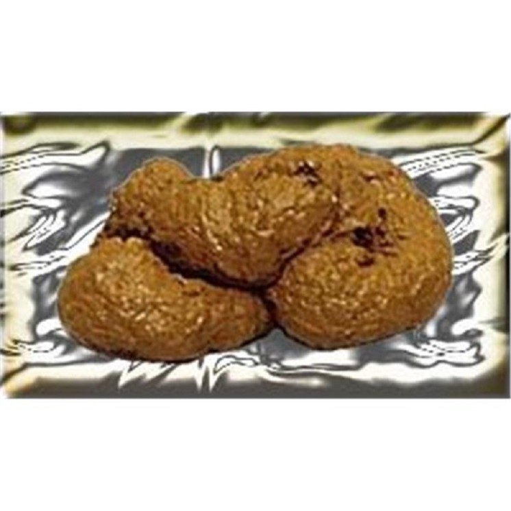 Fausse crotte de chien Matière : Résine Coloris - Marron (Diverses nuances de coloris)