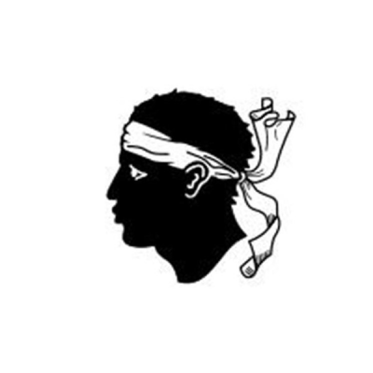 Drapeau Corse, tête de Maure, Testa Mora, pour Manifestation, Défilé, 0.90 x 1.50m