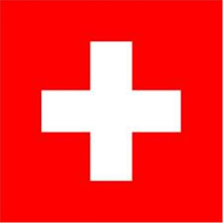 Drapeau Suisse, Switzerland, Helvetique pour Manifestation, Défilé, 0.90 x 1.50m