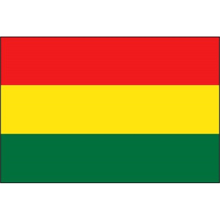 Drapeau Bolivien, Bolivie, Manifestation, Défilé, 0,90 X 1,50m
