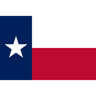 Drapeau Texas, Texan Manifestation, Défilé, 0,90 X 1,50m