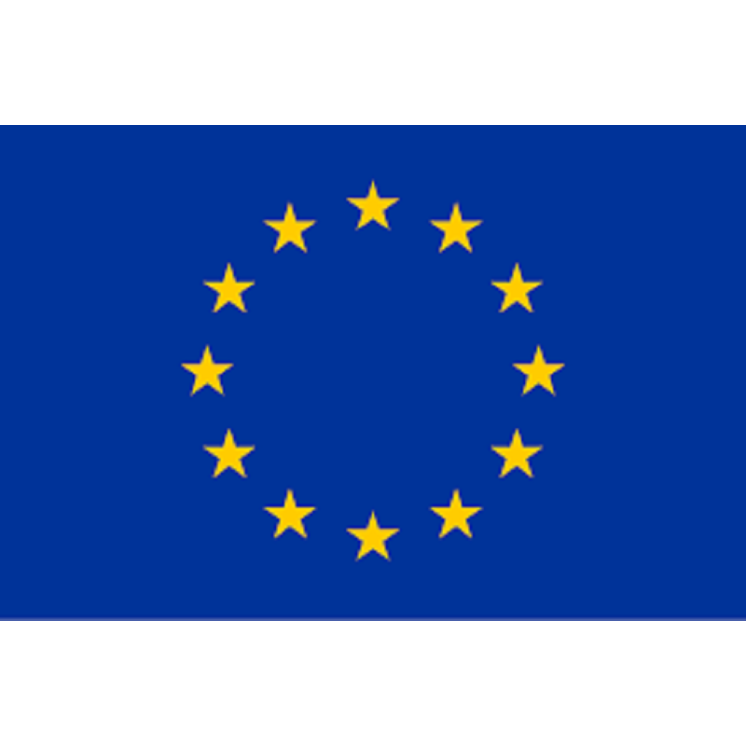 Drapeau Europe, Européen, Union européenne, UE, Manifestation, Défilé, 0,90 X 1,50m