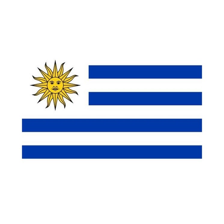 Drapeau Uruguay, Uruguayen, Manifestation, Défilé, 0,90 X 1,50m