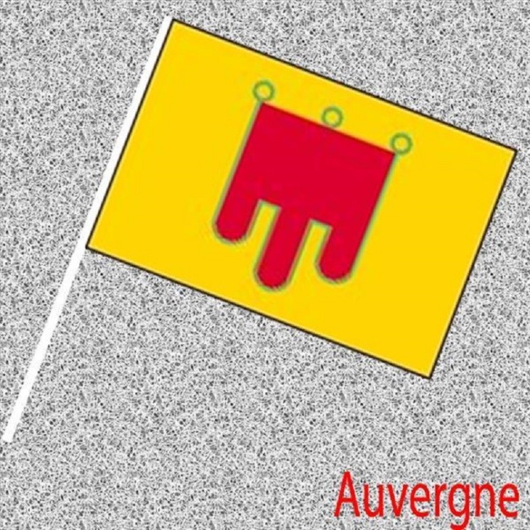6 Drapeaux Auvergne, Auvergnat, Régionaux en papier 14x21cms avec tige