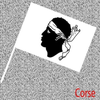 6 Drapeaux Corse, Corsica, tête de Maure, Régionaux en papier 14x21cms avec tige