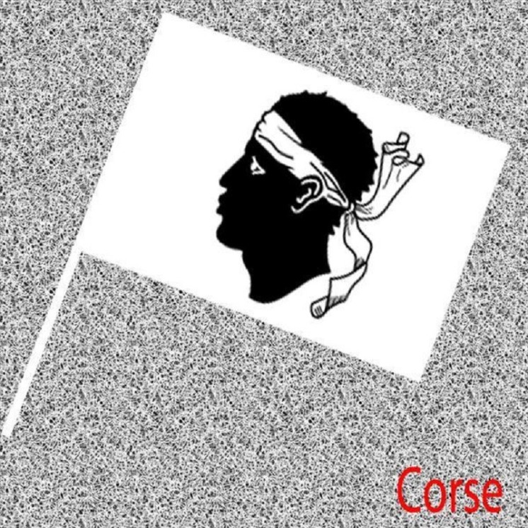 6 Drapeaux Corse, Corsica, tête de Maure, Régionaux en papier 14x21cms avec tige