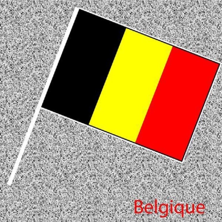 6 Drapeaux Belge, Belgique, Nationaux en papier 14x21cms avec tige (Fabrication Française)
