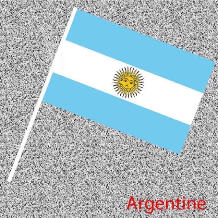 6 Drapeaux Argentin, Argentine, Nationaux en papier 14x21cms avec tige (Fabrication Française)