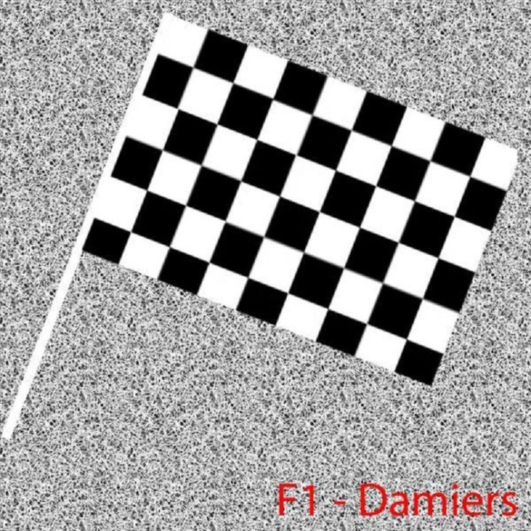 6 Drapeaux à Damier pour depart courses F1, Karting, Moto, en papier 14x21cms avec tige (Fabrication Française)
