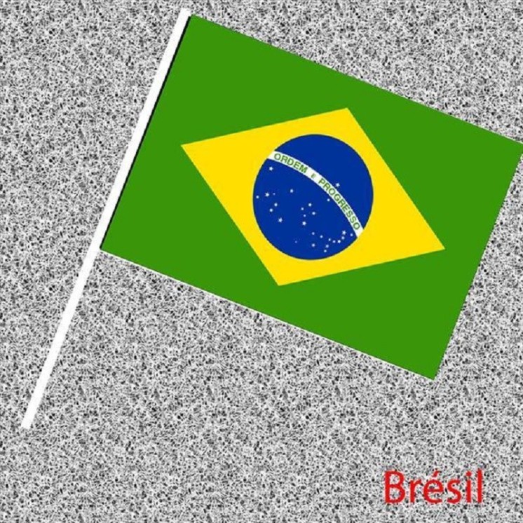 6 Drapeaux Brésil, Brésilien, Nationaux en papier 14x21cms avec tige (Fabrication Française)