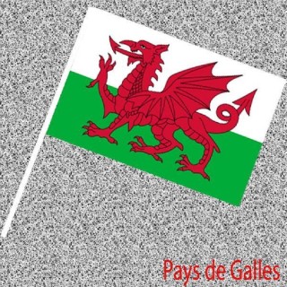 6 Drapeaux Gallois, Pays de Galles, Wales, Cymru, Nationaux en papier 14x21cms avec tige