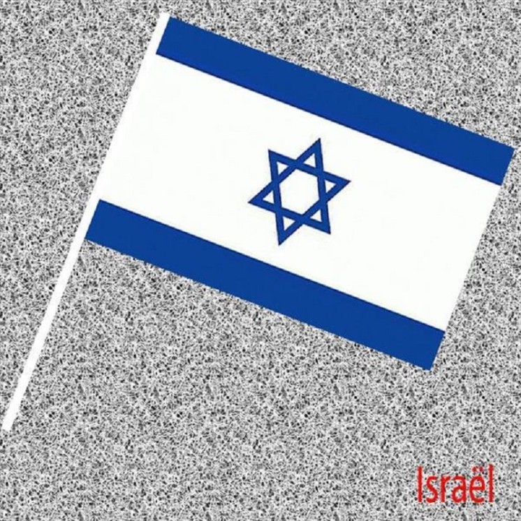 6 Drapeaux Israël, Israélien en papier 14x21cms avec tige (Fabrication Française)