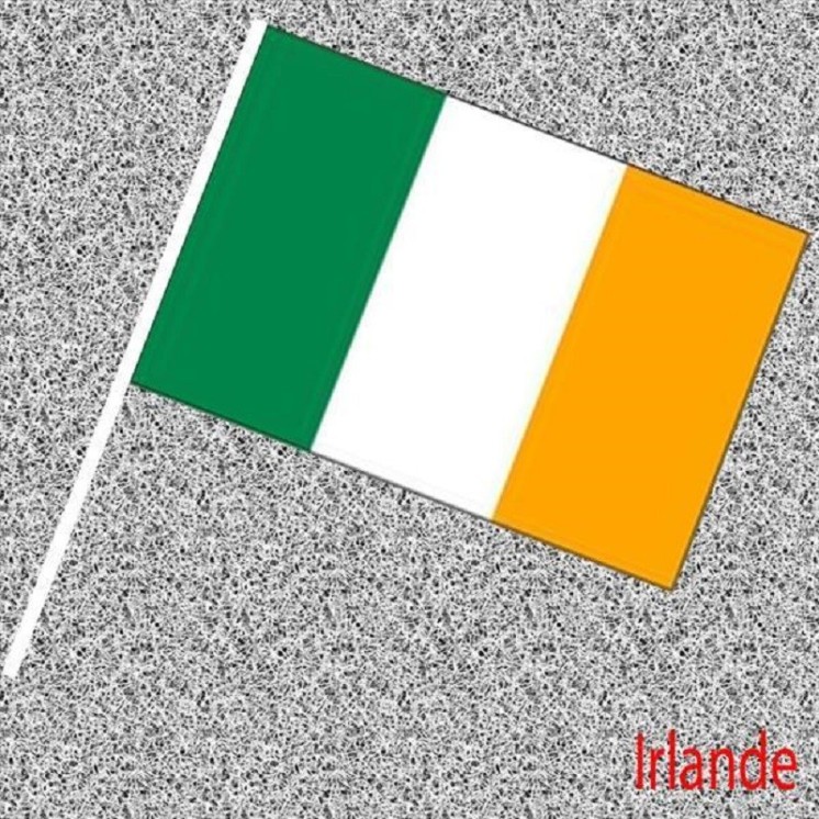 6 Drapeaux Irlande, Irlandais en papier 14x21cms avec tige