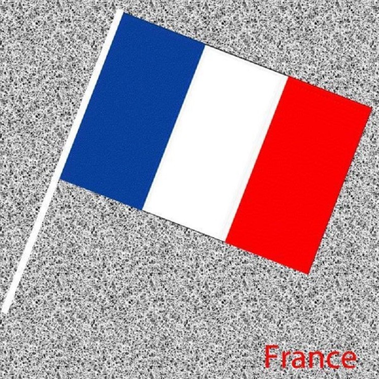 6 Drapeaux France, Français en papier 14x21cms avec tige