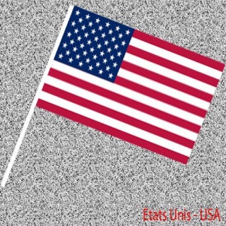 6 Drapeaux USA, Etats unis, Amérique, en papier 14x21cms avec tige (Fabrication Française)