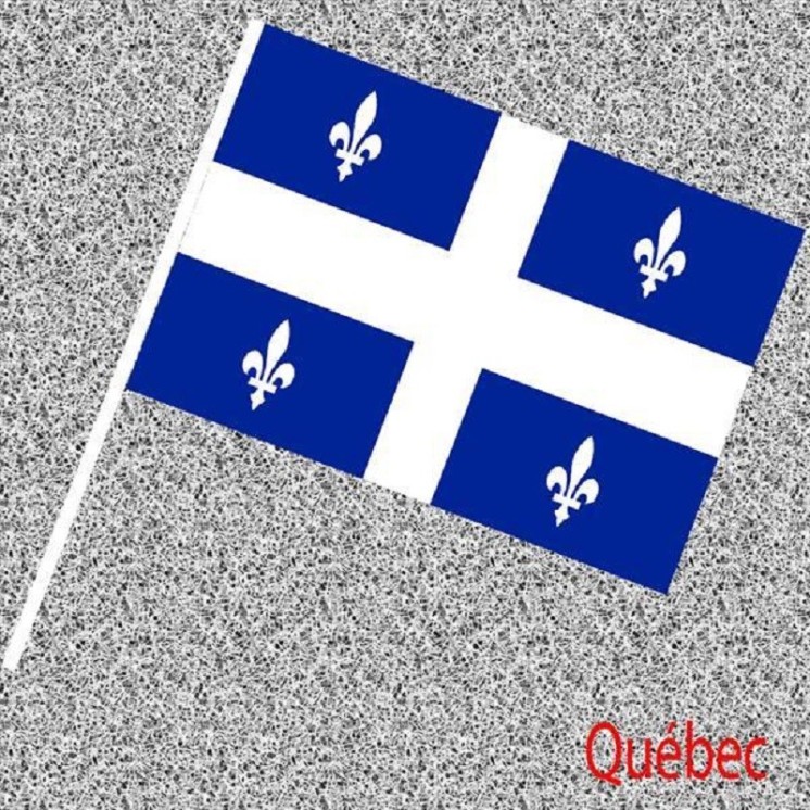 6 Drapeaux Québec, Québécois en papier 14x21cms avec tige