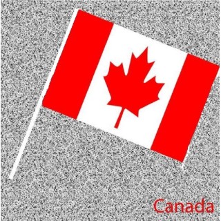 6 Drapeaux Canada, Canadien en papier 14x21cms avec tige