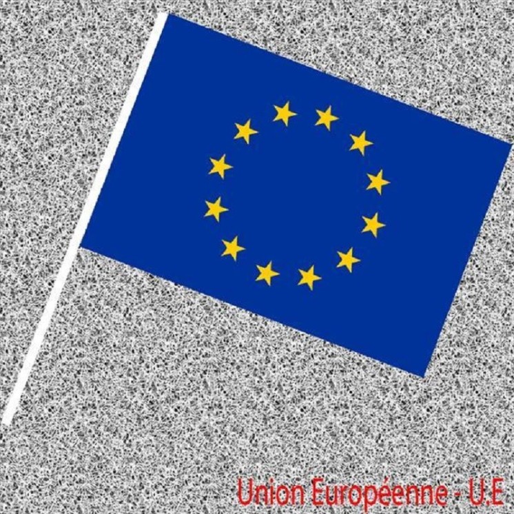 6 Drapeaux Union Européenne, UE, Nationaux en papier 14x21cms avec tige (Fabrication Française)
