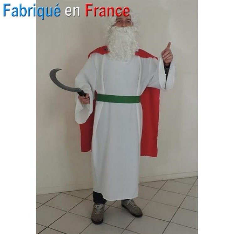 Déguisement de Druide, Panoramix