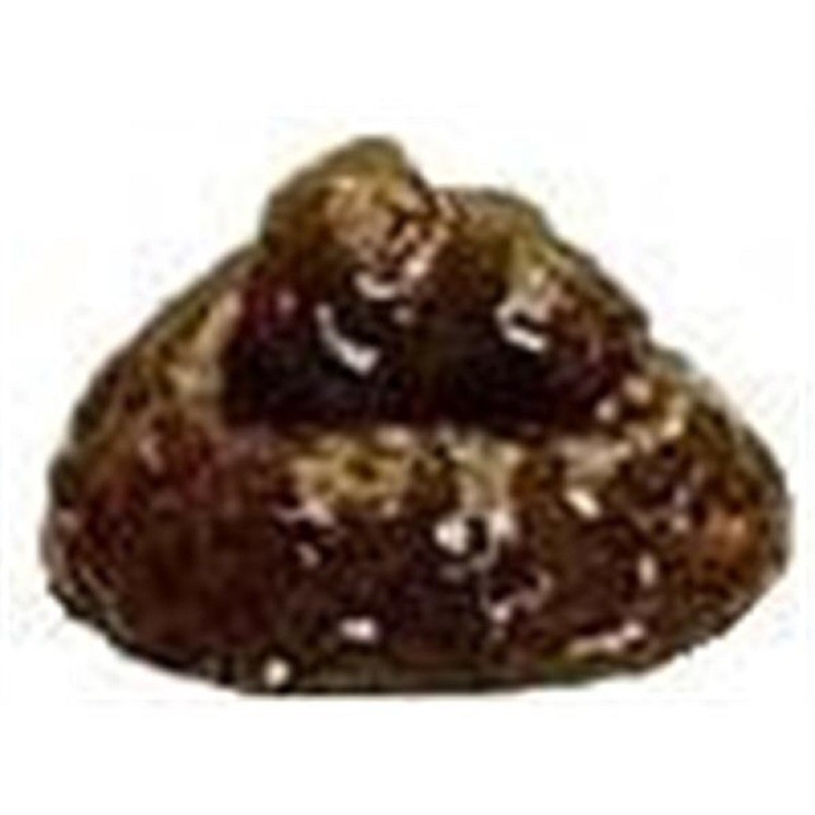 1 Sachet surprise (crotte emballée)