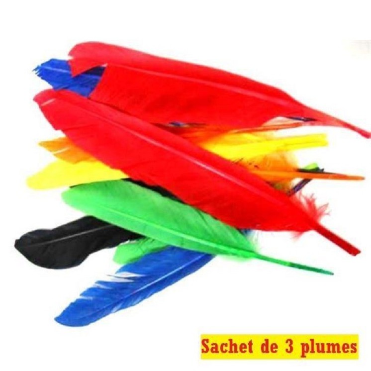 Sachet de 3 Plumes d' Indien (dinde)(coloris panachés)