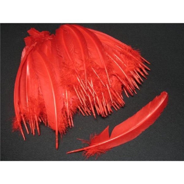 Sachet de 12 Plumes d' Indien à la couleur ou assortis