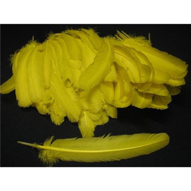 Sachet de 12 Plumes d' Indien à la couleur ou assortis