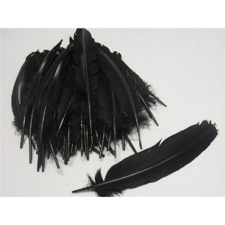 Sachet de 12 Plumes d' Indien à la couleur ou assortis