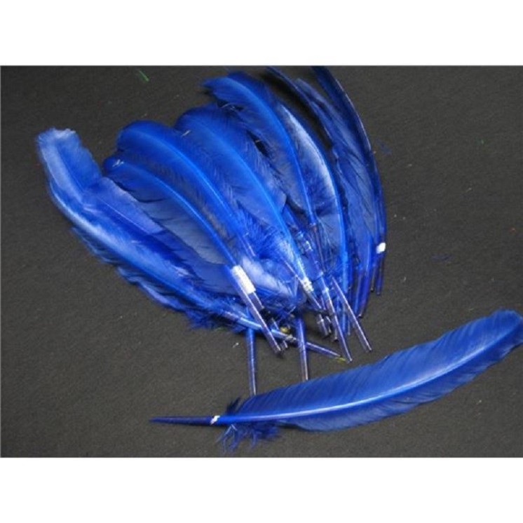 Sachet de 12 Plumes d' Indien à la couleur ou assortis