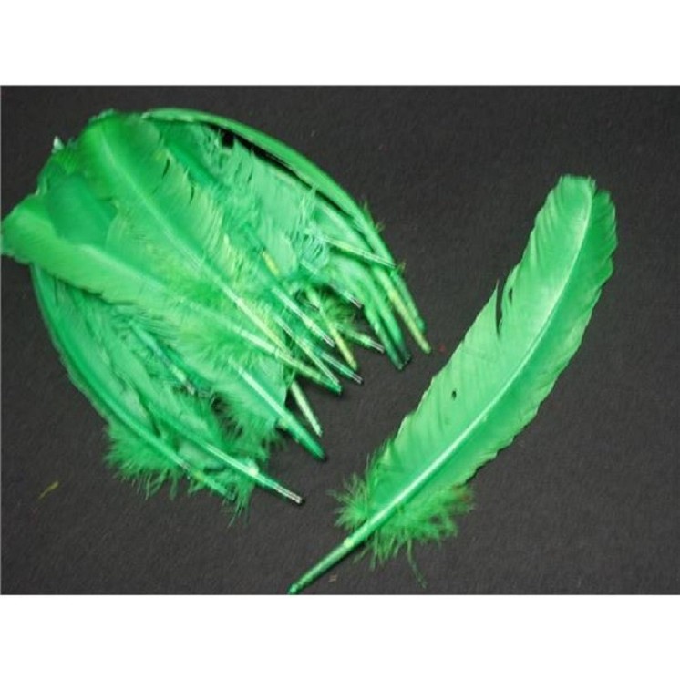 Sachet de 12 Plumes d' Indien à la couleur ou assortis